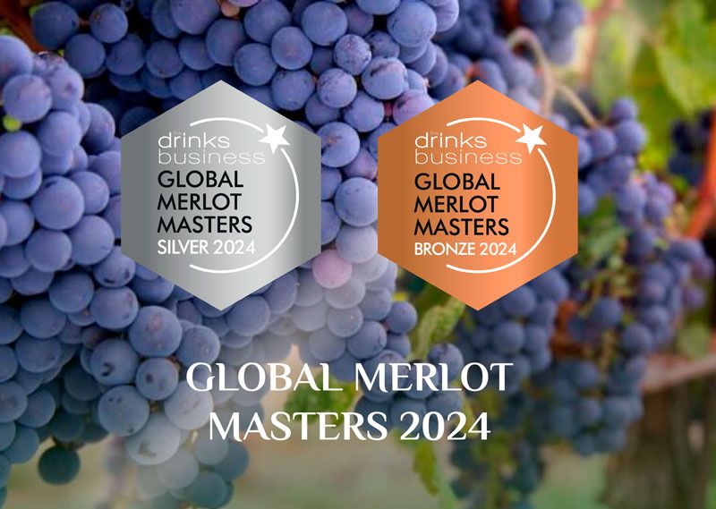 Вина Мерло от Arba Wine завоевали 2 медали на престижном конкурсе Global Merlot Masters 2024 в Великобритании!